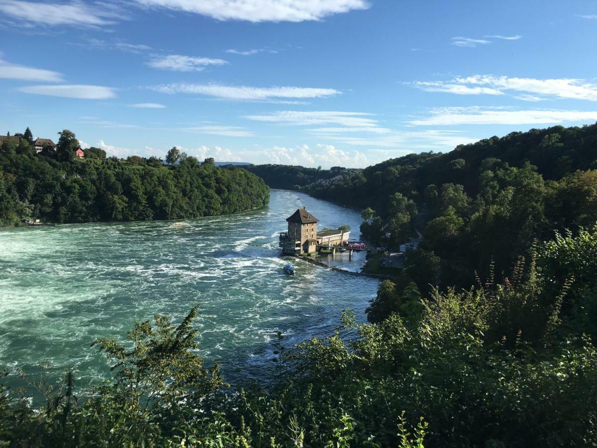 Вілла Alpenpanorama Am Hochrhein Ґайлінґен Екстер'єр фото